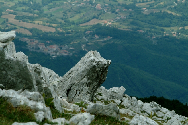 Sculture naturali